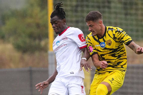 Кривбас визнав помилку з порушенням регламенту у матчі Кубка